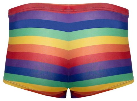 Men's Boxer Briefs Rainbow 2XL Svenjoyment Men's Boxer Briefs Rainbow 2XL Svenjoyment