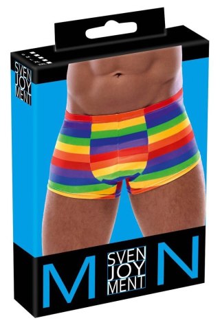 Men's Boxer Briefs Rainbow L Svenjoyment
