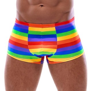 Men's Boxer Briefs Rainbow M Svenjoyment