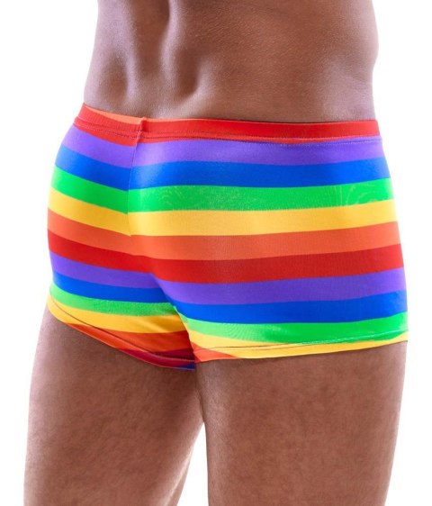 Men's Boxer Briefs Rainbow M Svenjoyment Men's Boxer Briefs Rainbow M Svenjoyment