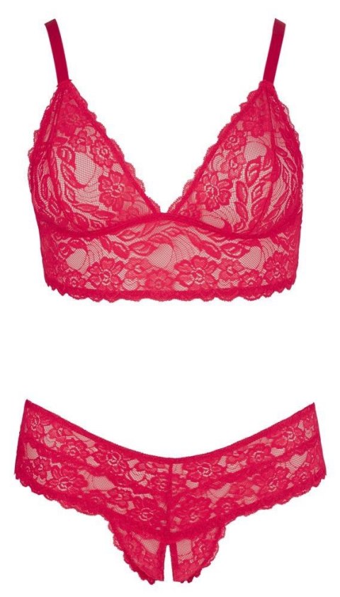 Bra and Red Briefs 3XL Cottelli CURVES Bra and Red Briefs 3XL Cottelli CURVES