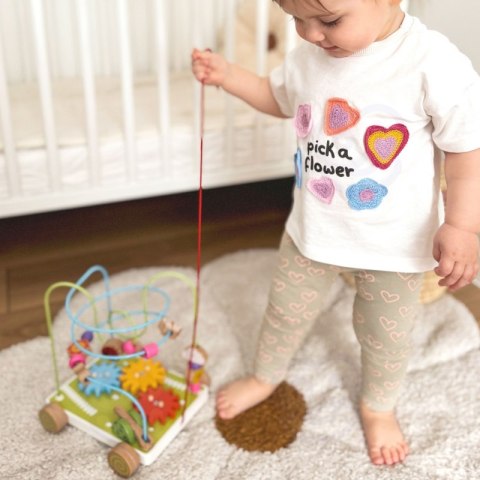 VIGA Labirynt Przeplatanka do Ciągnięcia 2w1 Farma Viga Toys VIGA Labirynt Przeplatanka do Ciągnięcia 2w1 Farma Viga Toys