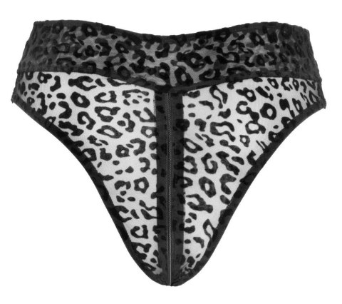 Noir Panty leo M Noir Noir Panty leo M Noir