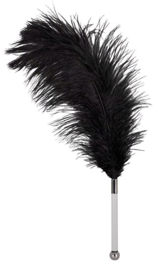 Feather black acrylic Bad Kitty