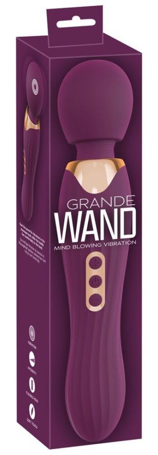 Big Wand purple You2Toys