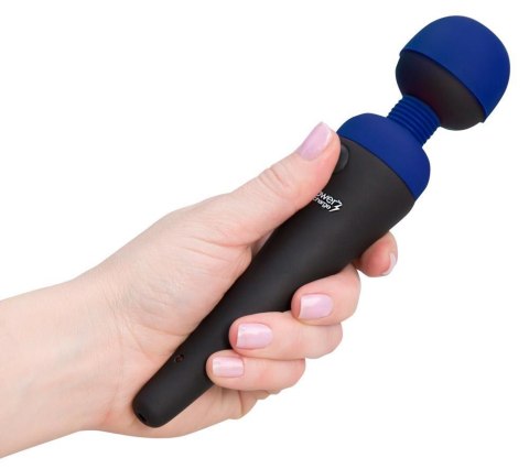 Palmpower recharge blue Palmpower