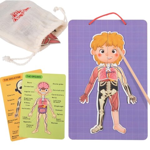 Tooky Toy Drewniane Puzzle Montessori Magnetyczne Nauka Anatomia Człowieka 78el. Tooky Toy Tooky Toy Drewniane Puzzle Montessori Magnetyczne Nauka Anatomia Człowieka 78el. Tooky Toy
