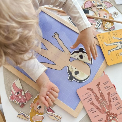 Tooky Toy Drewniane Puzzle Montessori Magnetyczne Nauka Anatomia Człowieka 78el. Tooky Toy Tooky Toy Drewniane Puzzle Montessori Magnetyczne Nauka Anatomia Człowieka 78el. Tooky Toy