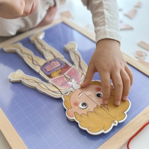 Tooky Toy Drewniane Puzzle Montessori Magnetyczne Nauka Anatomia Człowieka 78el. Tooky Toy Tooky Toy Drewniane Puzzle Montessori Magnetyczne Nauka Anatomia Człowieka 78el. Tooky Toy