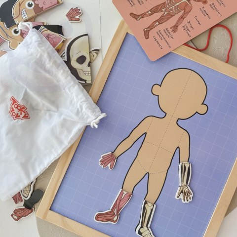 Tooky Toy Drewniane Puzzle Montessori Magnetyczne Nauka Anatomia Człowieka 78el. Tooky Toy Tooky Toy Drewniane Puzzle Montessori Magnetyczne Nauka Anatomia Człowieka 78el. Tooky Toy