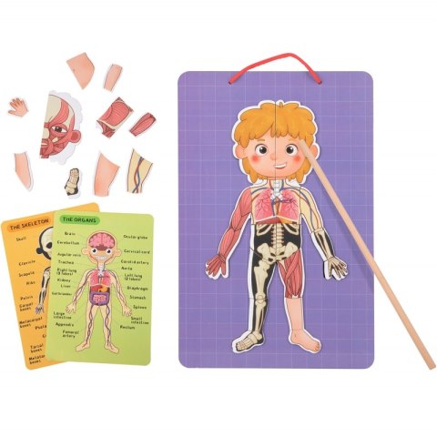 Tooky Toy Drewniane Puzzle Montessori Magnetyczne Nauka Anatomia Człowieka 78el. Tooky Toy Tooky Toy Drewniane Puzzle Montessori Magnetyczne Nauka Anatomia Człowieka 78el. Tooky Toy