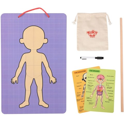 Tooky Toy Drewniane Puzzle Montessori Magnetyczne Nauka Anatomia Człowieka 78el. Tooky Toy Tooky Toy Drewniane Puzzle Montessori Magnetyczne Nauka Anatomia Człowieka 78el. Tooky Toy