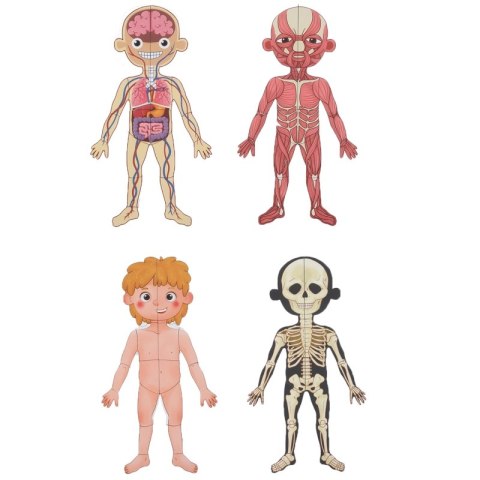 Tooky Toy Drewniane Puzzle Montessori Magnetyczne Nauka Anatomia Człowieka 78el. Tooky Toy Tooky Toy Drewniane Puzzle Montessori Magnetyczne Nauka Anatomia Człowieka 78el. Tooky Toy