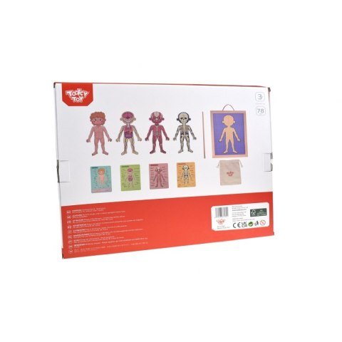 Tooky Toy Drewniane Puzzle Montessori Magnetyczne Nauka Anatomia Człowieka 78el. Tooky Toy Tooky Toy Drewniane Puzzle Montessori Magnetyczne Nauka Anatomia Człowieka 78el. Tooky Toy
