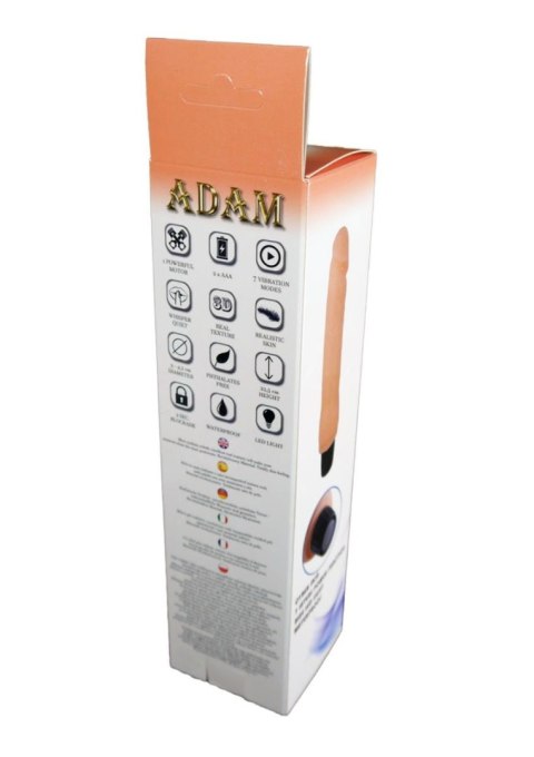 Wibrator-ADAM, 7 FUNCTION B - Series EasyLove Wibrator-ADAM, 7 FUNCTION B - Series EasyLove