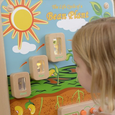MASTERKIDZ Cykl Życia Rośliny Ścienna Tablica Edukacyjna Flex Masterkidz MASTERKIDZ Cykl Życia Rośliny Ścienna Tablica Edukacyjna Flex Masterkidz