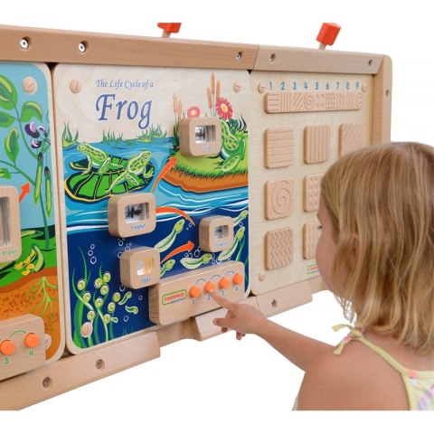 MASTERKIDZ Tablica Edukacyjna Ścienna Flex Montessori Cykl Życia Żaby Masterkidz MASTERKIDZ Tablica Edukacyjna Ścienna Flex Montessori Cykl Życia Żaby Masterkidz
