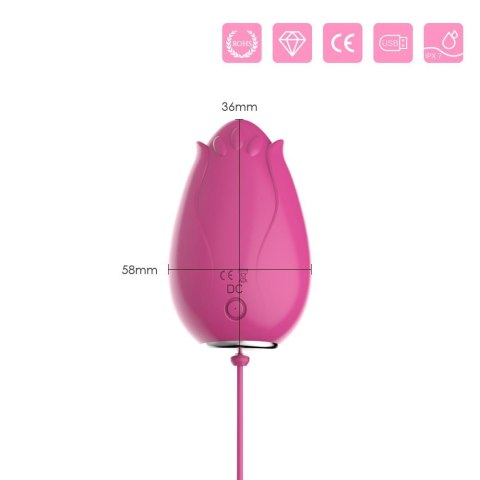 Mandala rose pink B - Series Joy