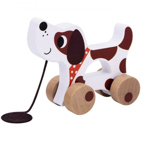 TOOKY TOY Box Pudełko XXL Montessori Edukacyjne 6w1 Sensoryczne 19-24 Mies Tooky Toy TOOKY TOY Box Pudełko XXL Montessori Edukacyjne 6w1 Sensoryczne 19-24 Mies Tooky Toy