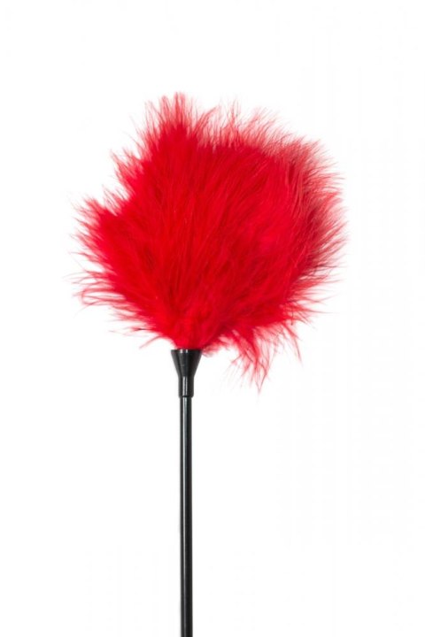 Tickler Party Hard Nightfall Red Lola Games Tickler Party Hard Nightfall Red Lola Games