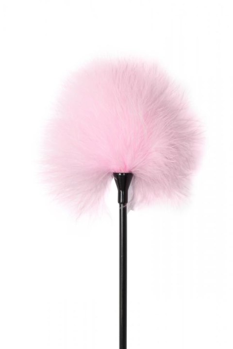 Tickler Party Hard Treasure Pink Lola Games Tickler Party Hard Treasure Pink Lola Games