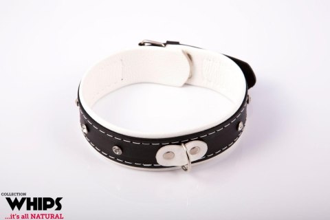 Wiązania - Obroża damska 4 cm, biała Whips Collections Wiązania - Obroża damska 4 cm, biała Whips Collections