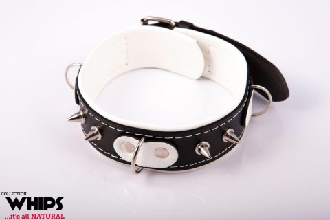 Wiązania - Obroża niewolnika ze smyczą, biała Whips Collections Wiązania - Obroża niewolnika ze smyczą, biała Whips Collections
