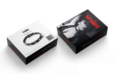 Wiązania-WHIPS lakier, obroża damska z kolcami, czarna Whips Collections Wiązania-WHIPS lakier, obroża damska z kolcami, czarna Whips Collections