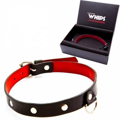 Wiązania-WHIPS obroża damska, cienka Whips Collections Wiązania-WHIPS obroża damska, cienka Whips Collections