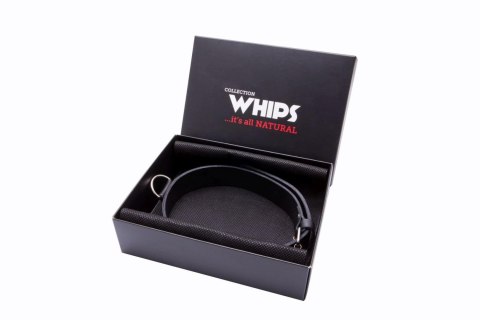 Wiązania-WHIPS obroża męska wąska Whips Collections Wiązania-WHIPS obroża męska wąska Whips Collections
