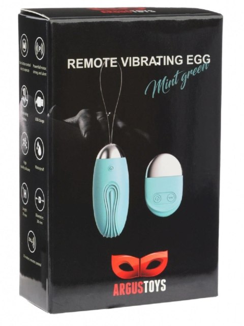 Remote Vibrating Egg Mint Green Argus Remote Vibrating Egg Mint Green Argus