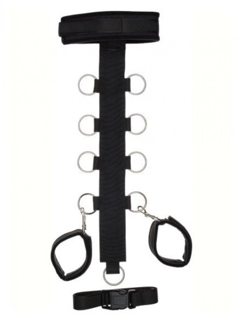 T Shape Collar And Wirst Restrain Argus T Shape Collar And Wirst Restrain Argus