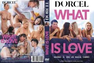 WHAT IS LOVE Dorcel