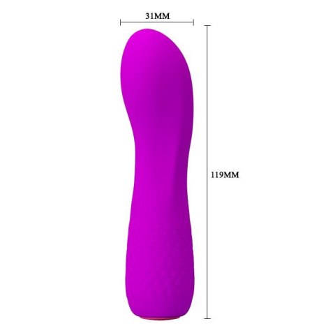 PRETTY LOVE - ADAM USB 12 function Pretty Love PRETTY LOVE - ADAM USB 12 function Pretty Love