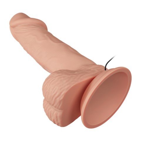 BAILE-Beautiful Zebulon Vibration 7.6"""" Baile