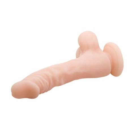 BAILE - COCK 8,5 Baile