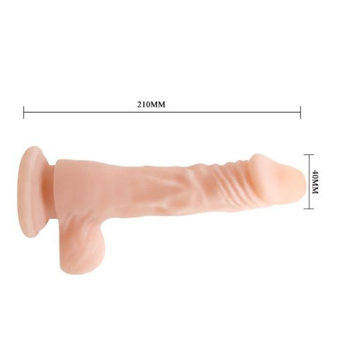 BAILE - COCK 8,5 Baile
