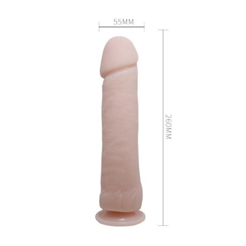 BAILE - The Big Penis Baile BAILE - The Big Penis Baile