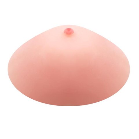 BAILE - True Breast Baile BAILE - True Breast Baile