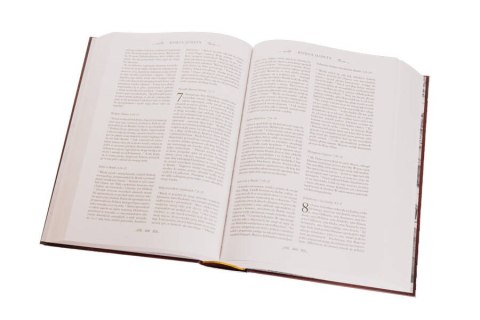 Pismo Święte Starego i Nowego Testamentu Biblia domowa W ETUI PIĘKNA DUŻA Wydawnictwo JEDNOŚĆ Pismo Święte Starego i Nowego Testamentu Biblia domowa W ETUI PIĘKNA DUŻA Wydawnictwo JEDNOŚĆ