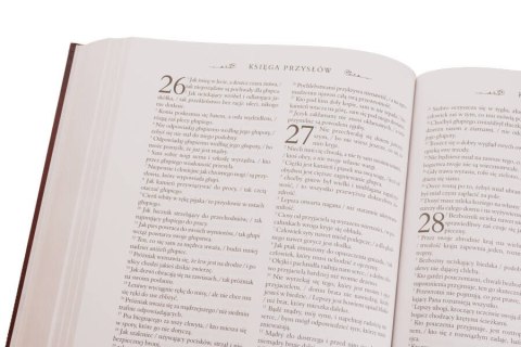 Pismo Święte Starego i Nowego Testamentu Biblia domowa W ETUI PIĘKNA DUŻA Wydawnictwo JEDNOŚĆ Pismo Święte Starego i Nowego Testamentu Biblia domowa W ETUI PIĘKNA DUŻA Wydawnictwo JEDNOŚĆ