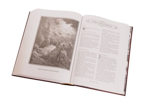 Pismo Święte Starego i Nowego Testamentu Biblia domowa W ETUI PIĘKNA DUŻA Wydawnictwo JEDNOŚĆ Pismo Święte Starego i Nowego Testamentu Biblia domowa W ETUI PIĘKNA DUŻA Wydawnictwo JEDNOŚĆ