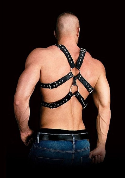 Andres - Masculine Masterpiece - Black Boss of toys Andres - Masculine Masterpiece - Black Boss of toys