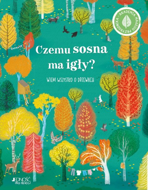 Czemu sosna ma igły? Czemu sosna ma igły?