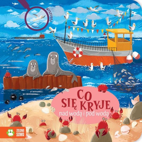 Co się kryje nad wodą i pod wodą Co się kryje nad wodą i pod wodą