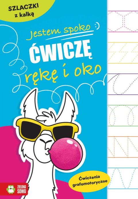 Jestem spoko. Ćwiczę rękę i oko. Szlaczki Jestem spoko. Ćwiczę rękę i oko. Szlaczki