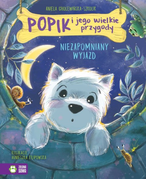 Popik i jego wielkie przygody. Niezapomniany wyjazd Popik i jego wielkie przygody. Niezapomniany wyjazd