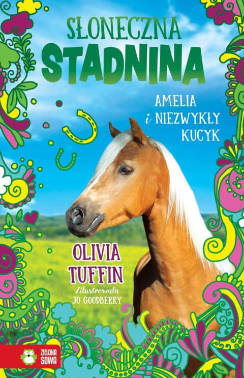 Słoneczna Stadnina. Amelia i niezwykły kucyk Słoneczna Stadnina. Amelia i niezwykły kucyk