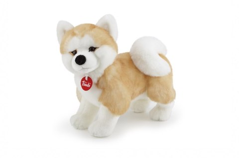 TRUDI KLASYCZNE AKITA ASCANIO (M) TRUDI KLASYCZNE AKITA ASCANIO (M)