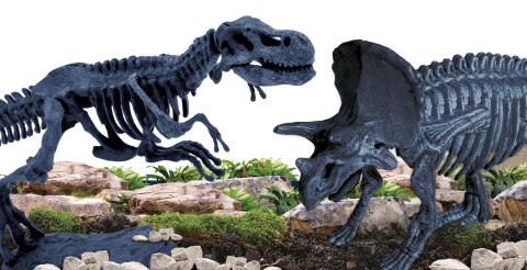 LISCIANI I"M GENIUS LABORATORIUM PALEONTOLOGII